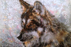 KURT / Tuval Üzerine Yağlıboya Akrilik, 65x80cm, 2012