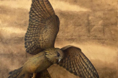 ŞAHİN / Tuval Üzerine Yağlıboya Akrilik,  120x100cm